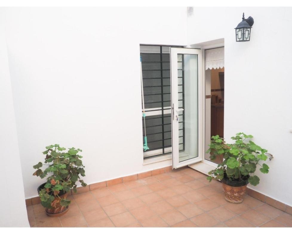Conilplus Apartment Castilnovo Conil De La Frontera Exterior photo